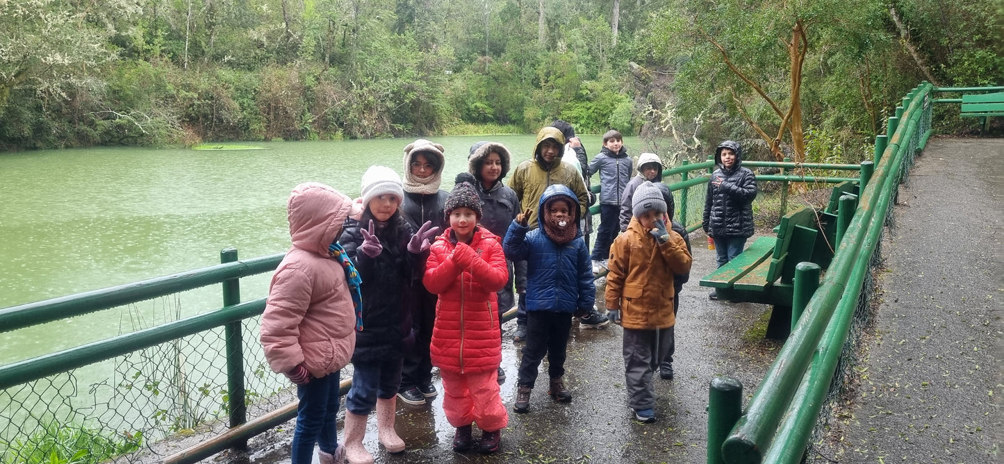 Tour Volcán Osorno - Saltos del Rio Petrohué