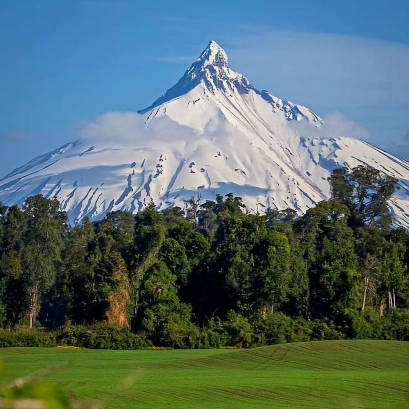 Tour Águas Calientes Fontes Termais Puyehue