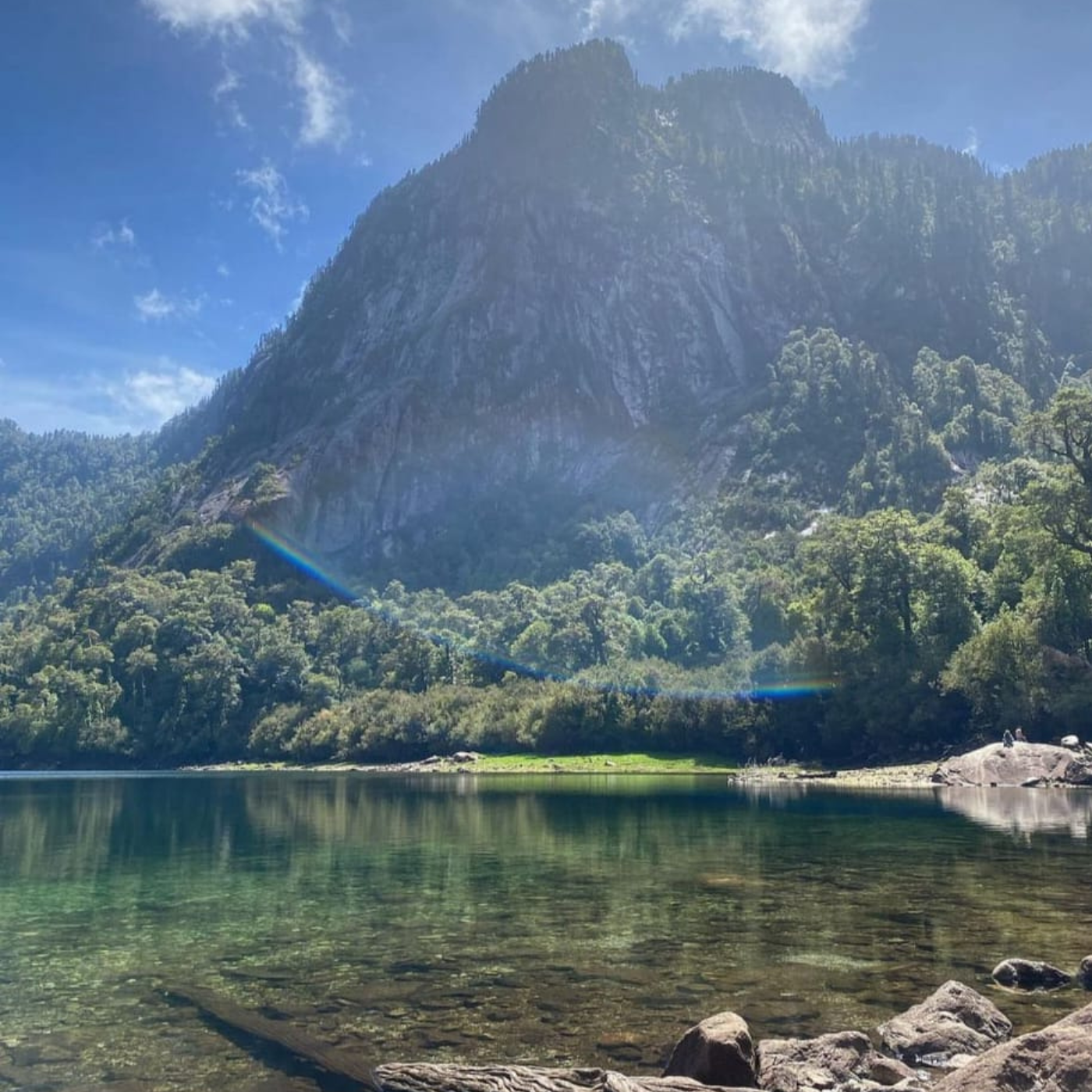 Tour de Trekking por el Fascinante Parque nacional Alerce Andino