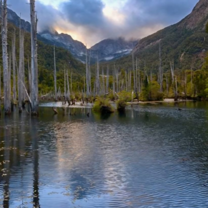 Tour Patagonia Verde y su Naturaleza Indómita
