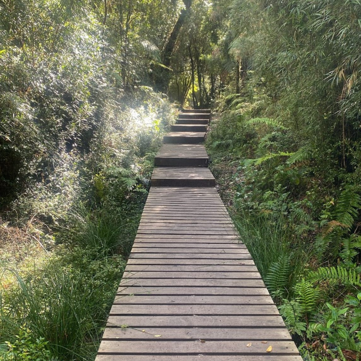 Tour de Trekking por el Fascinante Parque nacional Alerce Andino