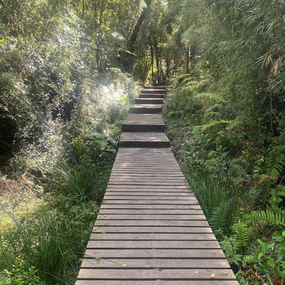 Tour de Trekking por el Fascinante Parque nacional Alerce Andino