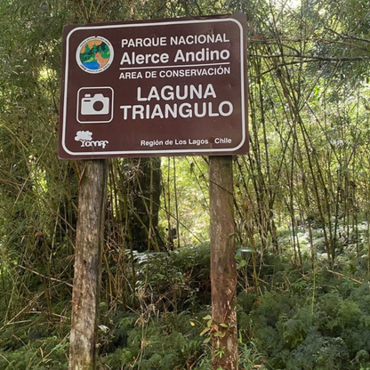 Tour de Trekking por el Fascinante Parque nacional Alerce Andino