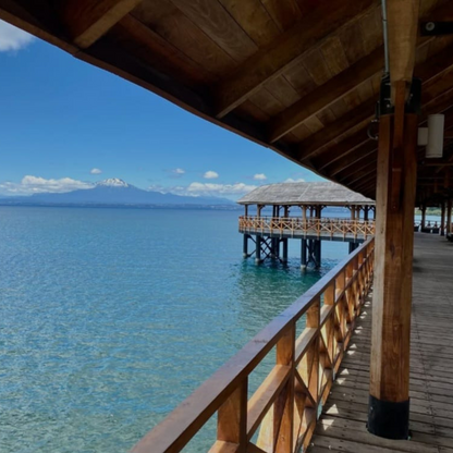 Tour privado Ruta Colonos Alemanes – Llanquihue – Frutillar – Puerto Octay (1-4 personas)