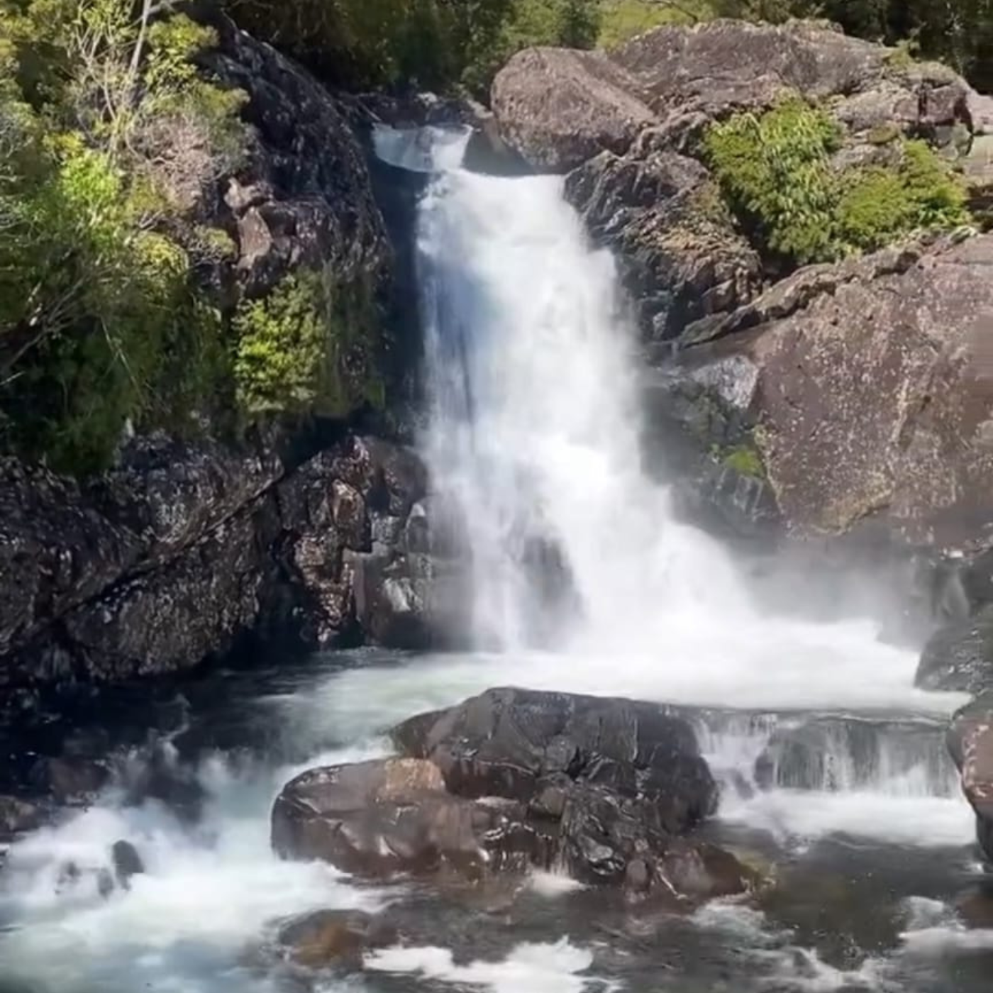 Tour de Trekking por el Fascinante Parque nacional Alerce Andino
