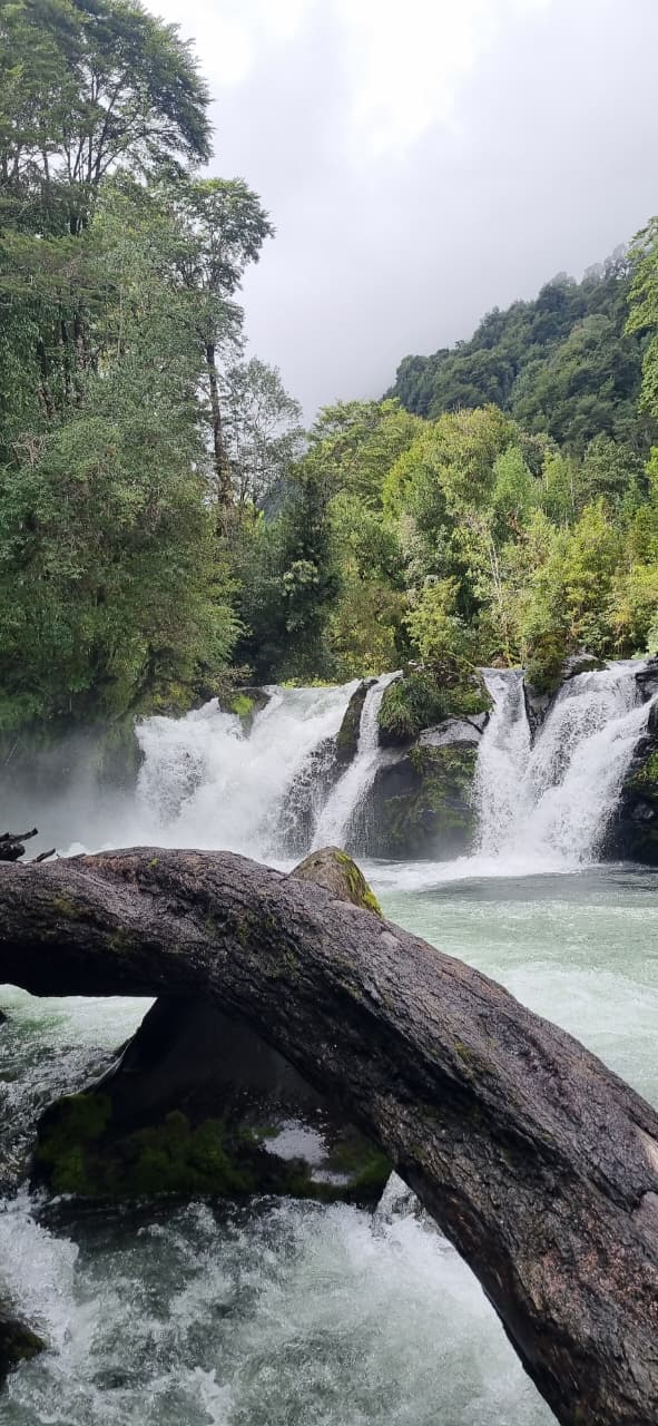 TOUR CARRETERA AUSTRAL-HORNOPIREN