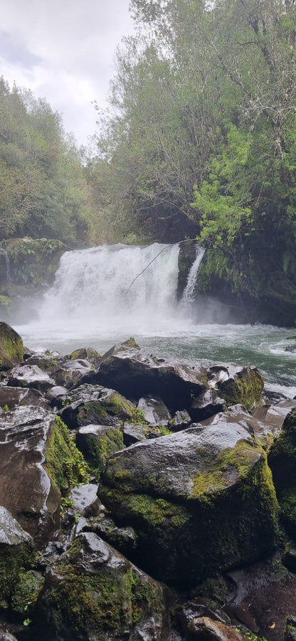 TOUR CARRETERA AUSTRAL-HORNOPIREN