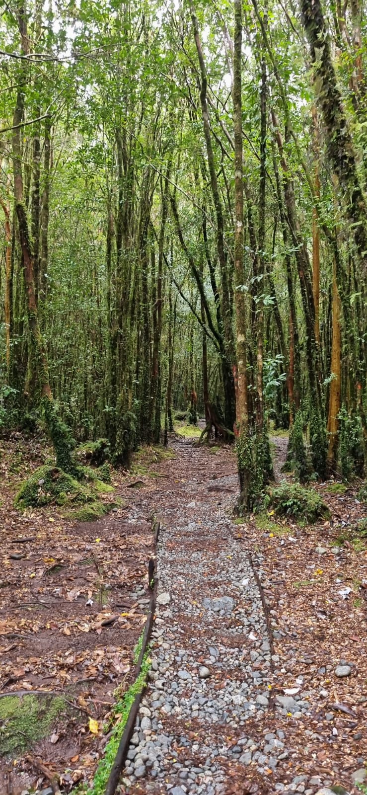 TOUR CARRETERA AUSTRAL-HORNOPIREN