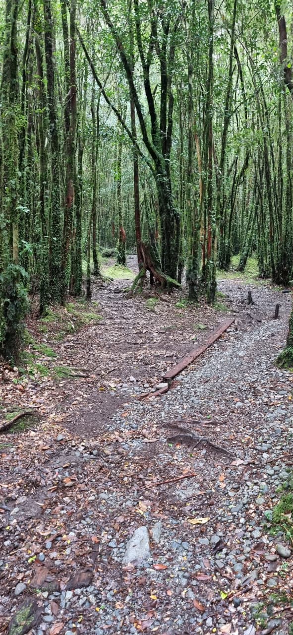 TOUR CARRETERA AUSTRAL-HORNOPIREN