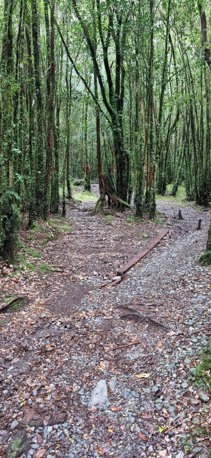 TOUR CARRETERA AUSTRAL-HORNOPIREN