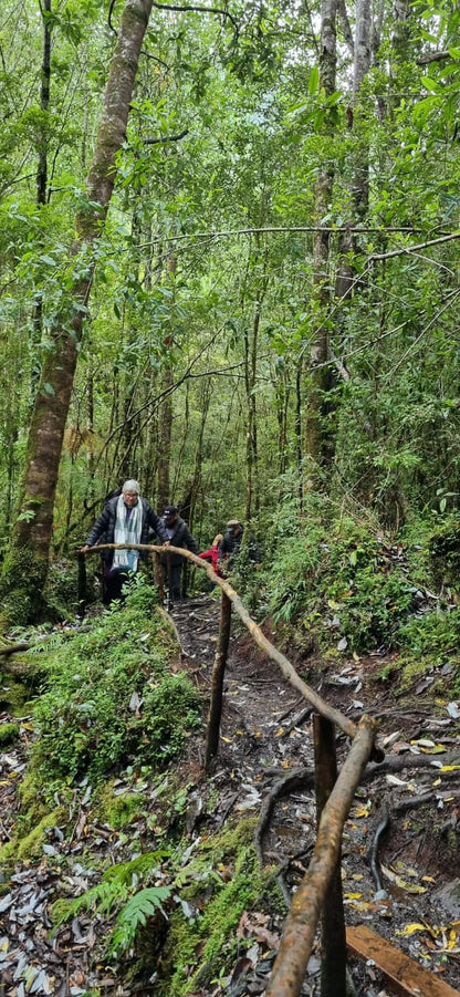 TOUR CARRETERA AUSTRAL-HORNOPIREN